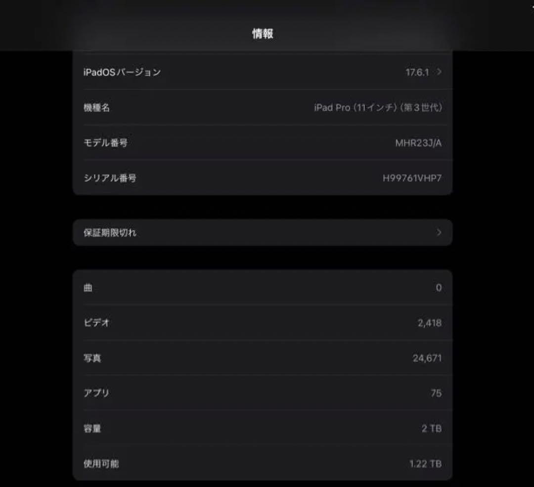 【ぽん】iPad Pro 11インチ（M1） 2TB ペンシルセット